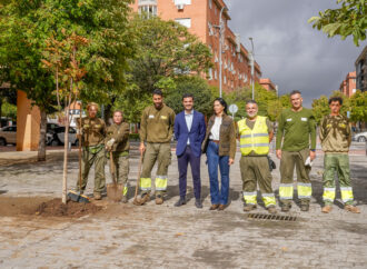 Hasta el 21 de octubre, inscripción en Torrejón para participar en la plantación de árboles