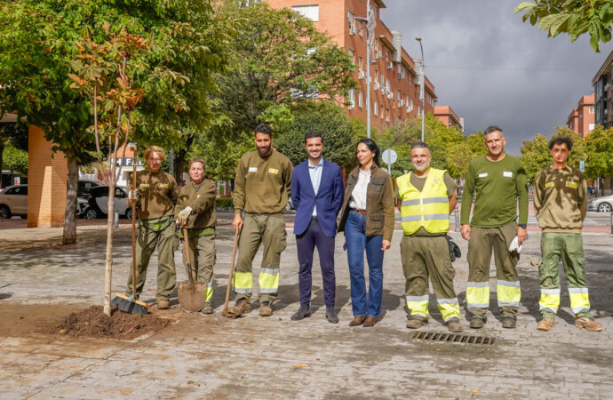 Hasta el 21 de octubre, inscripción en Torrejón para participar en la plantación de árboles