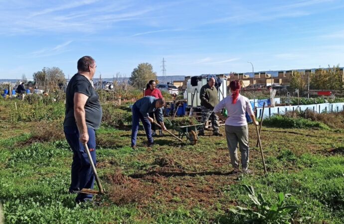 Inscripciones abiertas en Alovera para apuntarse a su Escuela Agroecológica