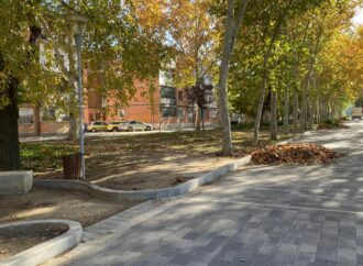 Actuación integral de mejora y mantenimiento en las zonas verdes del Parque Magallanes de Alcalá