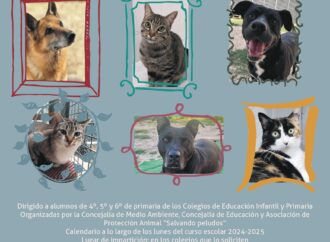 Alcalá pone en marcha jornadas informativas en los colegios para la tenencia responsable de animales y fomento de la adopción