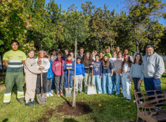 Nuevo árbol en el Parque Constitución de Torrejón, para conmemorar el 46 aniversario de la Carta Magna