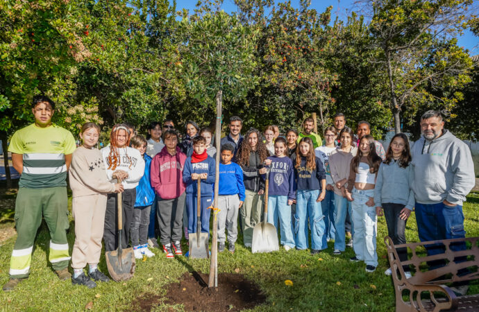 Nuevo árbol en el Parque Constitución de Torrejón, para conmemorar el 46 aniversario de la Carta Magna