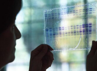 La Oficina de Transferencia de Resultados de Investigación de la UAH recibe el reconocimiento del Ministerio de Ciencia como Oficina de Transferencia del Conocimiento