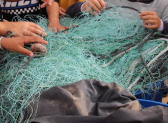 La Universidad de Alcalá impulsa la cultura pesquera en escuelas del interior con el proyecto Blue Twinning