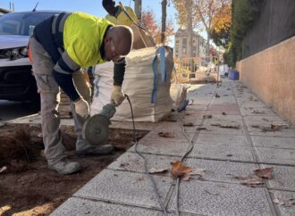 En marcha el Plan de mejora de aceras y accesibilidad en Alovera