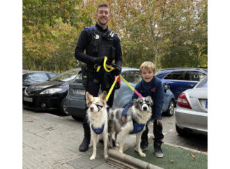 La Policía Local de Torrejón rescata a dos perros atrapados en el interior de un vehículo cerrado con las llaves dentro