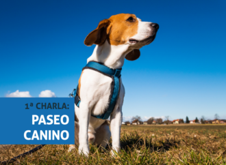 Comienzan las charlas y prácticas de educación canina en Alcalá de Henares