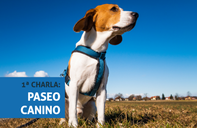 Comienzan las charlas y prácticas de educación canina en Alcalá de Henares