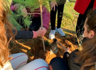 Plantación de árboles en la Isla del Colegio, este sábado en Alcalá