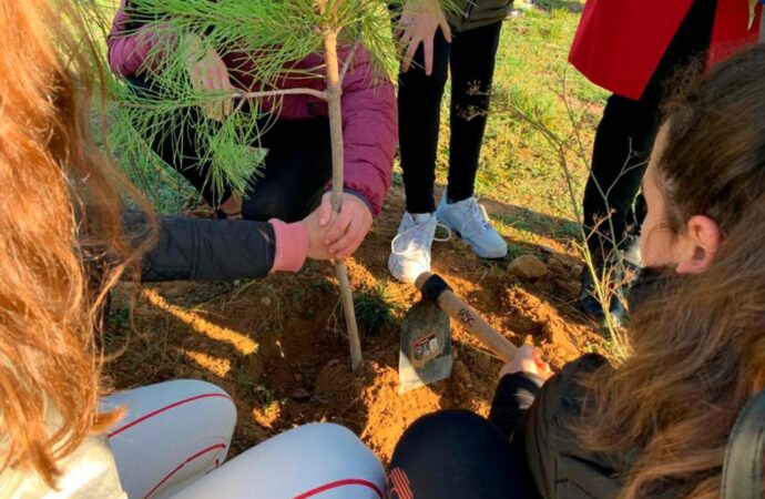 Plantación de árboles en la Isla del Colegio, este sábado en Alcalá