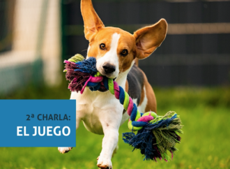 Continúan las charlas y sesiones de Educación Canina en Alcalá