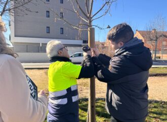 Alovera vuelve a convocar la iniciativa «un árbol, un niñ@» para marzo con renovación de identificaciones.