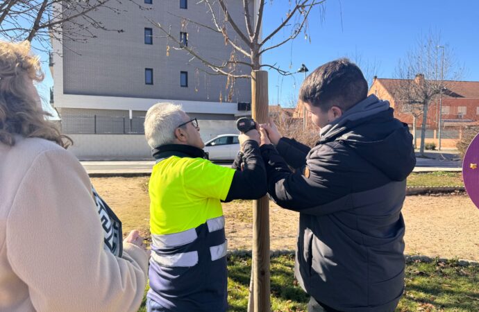 Alovera vuelve a convocar la iniciativa «un árbol, un niñ@» para marzo con renovación de identificaciones.