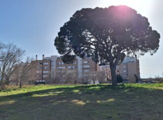 Adjudicadas las obras para la dotación de nuevos equipamientos públicos en el barrio El Olivar de Alcalá