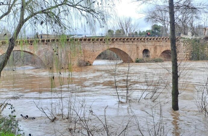 Guadalajara incrementa la vigilancia sobre el río Henares ante la crecida del caudal que está en nivel rojo