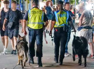 Vuelve a bajar la criminalidad en Torrejón de Ardoz, datos de 2024