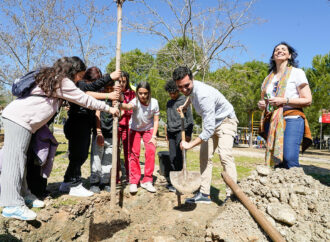 Día del Árbol en Torrejón con la plantación de 150 árboles y la participación de 761 escolares