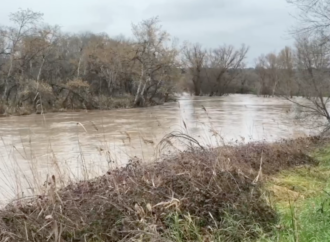 Alcalá solicitará a la Confederación Hidrográfica del Tajo que recupere el cauce del río y retire las ramas, troncos y árboles del Henares