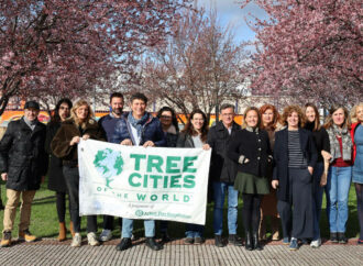 El trabajo y cuidado del arbolado en Alcalá logra el distintivo «Tree Cities of the World»