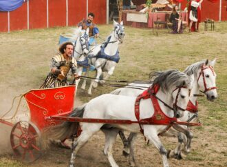 Abre en Alcalá el Mercado Romano y el Gran Circus Maximus dentro de Complutum Renacida