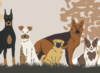 Este viernes el Centro de Protección Animal de Alcalá celebra una Jornada de Puertas Abiertas