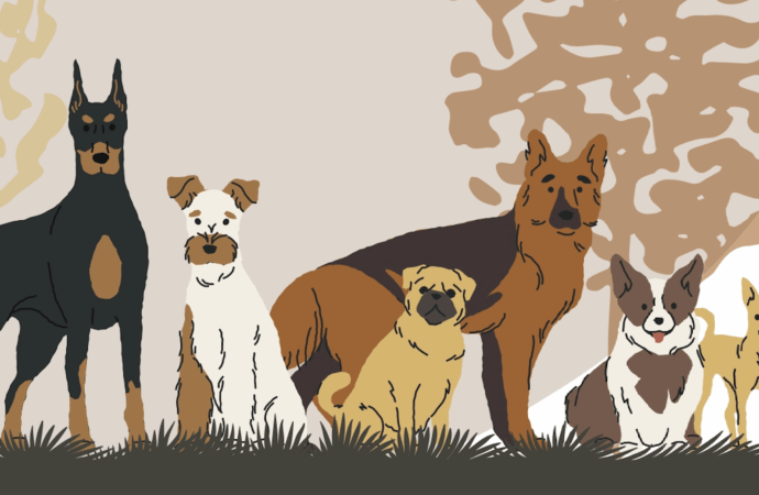 Este viernes el Centro de Protección Animal de Alcalá celebra una Jornada de Puertas Abiertas