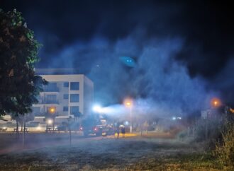 Fumigaciones nocturnas preventivas en Alovera frente a moscas y mosquitos