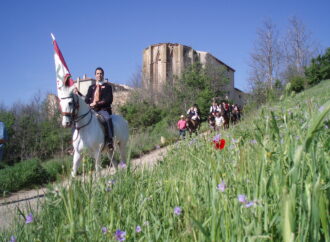 Caballos, Historia, Romería, tradiciones y mucho más… este domingo, día 8, en Atienza