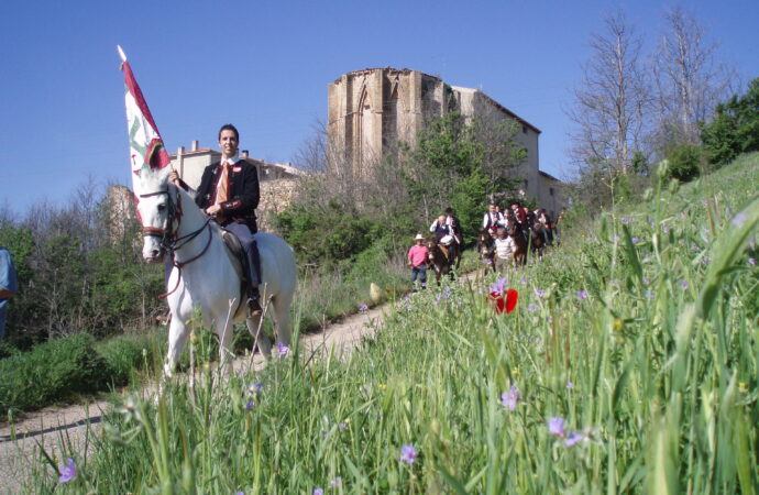 Caballos, Historia, Romería, tradiciones y mucho más… este domingo, día 8, en Atienza