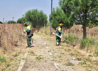 Se intensifican las labores de desbroce y mantenimiento de la vegetación espontánea en Alcalá tras un crecimiento excepcional