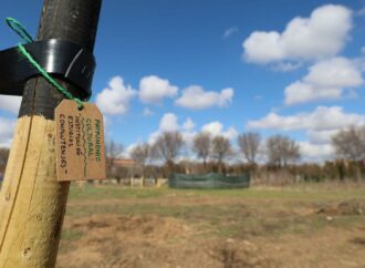 “Alcalá de Henares por la Regeneración”: un nuevo proyecto vecinal para construir «una ciudad más sana y sostenible»