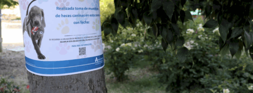 Campaña de recogida de muestras de ADN canino en los diferentes barrios de Alcalá de Henares