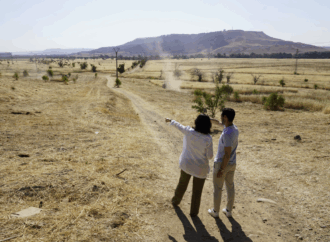 Prevención de incendios: labores de desbroce en la Finca Soto Espinillo de Torrejón de Ardoz