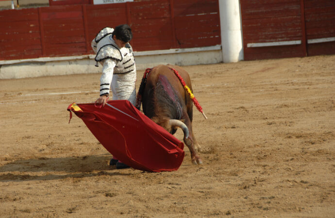 Novillada en Sigüenza: Sergio Domínguez, Jesús Romero y Pedro Andrés, a hombros de Las Cruces