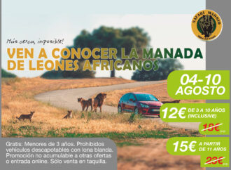 Días Especiales de Torrejón de Ardoz con descuentos en Safari Madrid