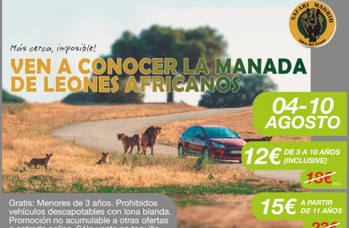 Días Especiales de Torrejón de Ardoz con descuentos en Safari Madrid