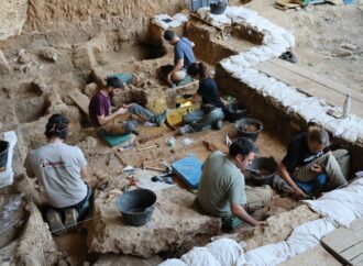 Los caballos más antiguos del linaje ibérico salen a la luz en las excavaciones de La Malia en Tamajón