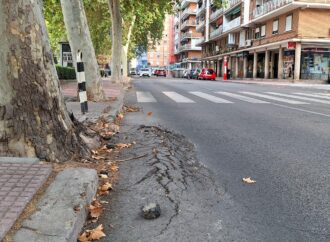 Más de 76.000 euros para la mejora de Caballería Española en Alcalá