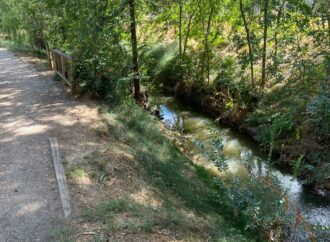 Alcalá retira más de 12 metros cúbicos de residuos sólidos y restos vegetales del arroyo Camarmilla