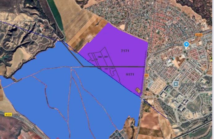 Villalbilla y Torres de la Alameda siguen movilizándose para frenar la macroplanta solar que amenaza el entorno del Viso