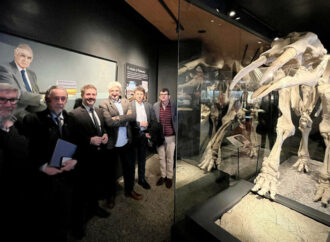 Nueva Guía de la Sala de Paleontología Emiliano Aguirre del Museo Arqueológico y Paleontológico regional en Alcalá de Henares