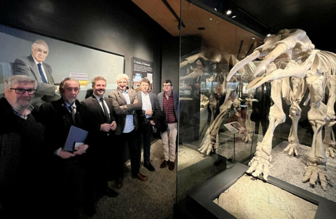 Nueva Guía de la Sala de Paleontología Emiliano Aguirre del Museo Arqueológico y Paleontológico regional en Alcalá de Henares