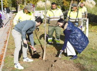 El Día Internacional Contra el Cambio Climático se celebró en Torrejón con una nueva plantación de árboles