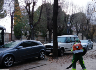 Alcalá de Henares refuerza su servicio de limpieza ante la caída de la hoja