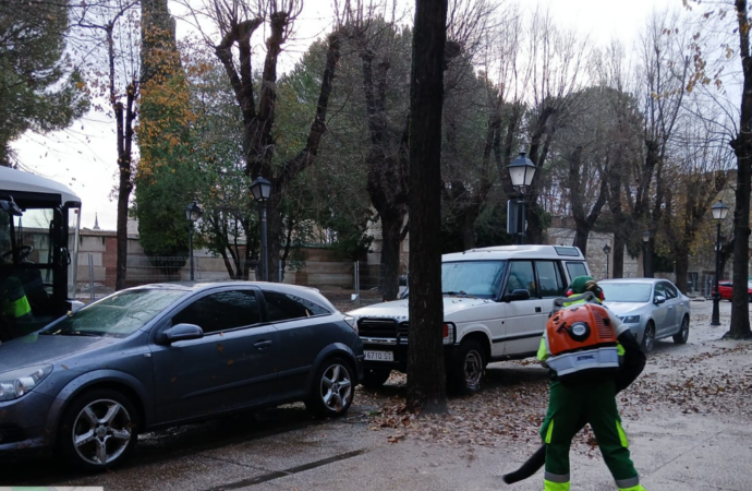 Alcalá de Henares refuerza su servicio de limpieza ante la caída de la hoja