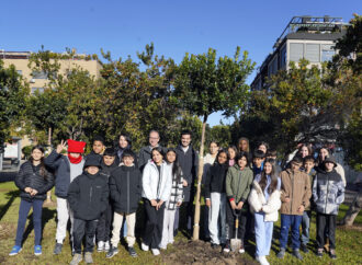 Torrejón conmemora el 47 aniversario de la Constitución española con la plantación en el Parque Constitución