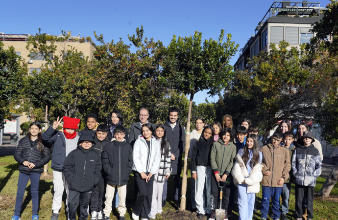 Torrejón conmemora el 47 aniversario de la Constitución española con la plantación en el Parque Constitución