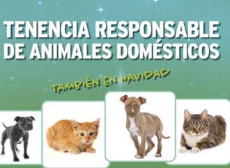 Cuidado con los regalos de Reyes: campaña informativa para la tenencia responsable de animales de compañía