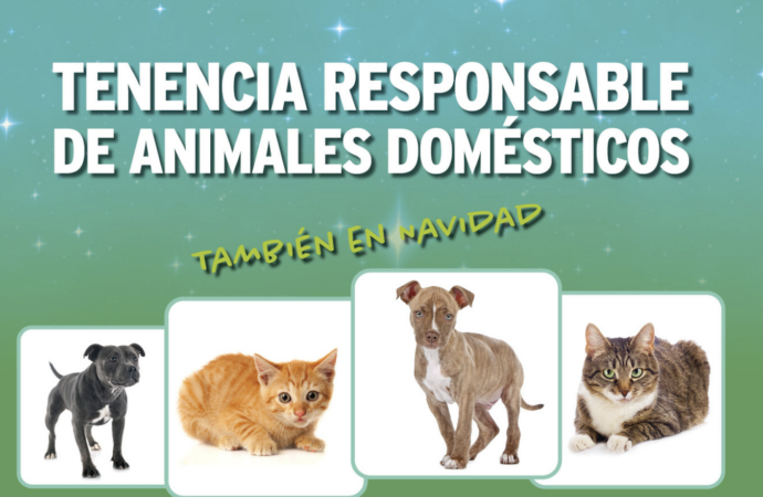 Cuidado con los regalos de Reyes: campaña informativa para la tenencia responsable de animales de compañía